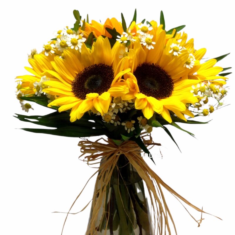 Bouquet with sunflowers 18 euros