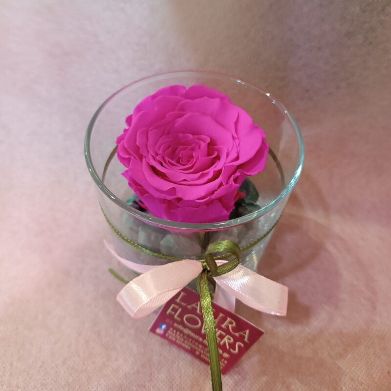 FOREVER ROSE