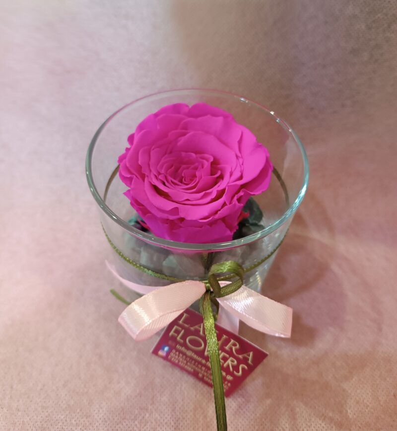 FOREVER ROSE