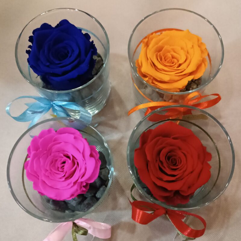 FOREVER ROSE
