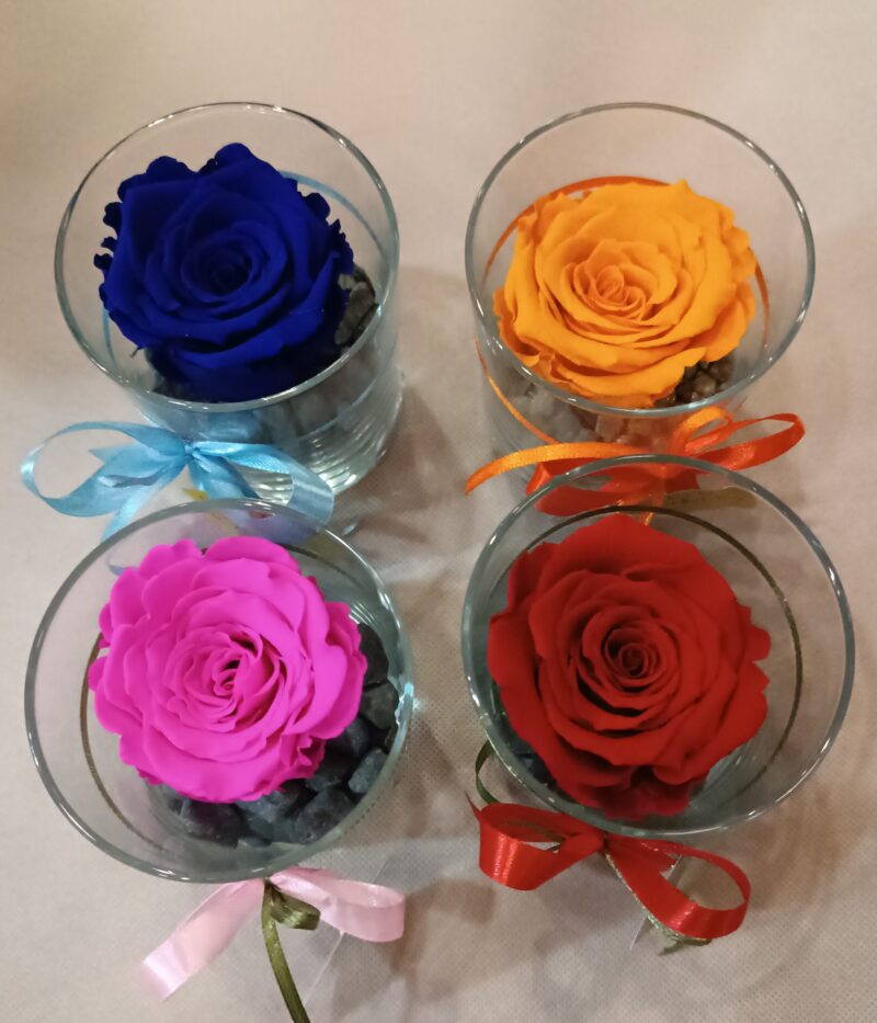 FOREVER ROSE