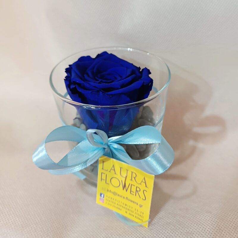 FOREVER ROSE